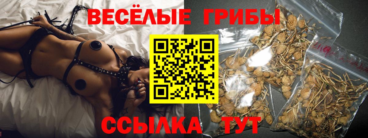 Псилоцибиновые грибы мицелий Вышний Волочёк